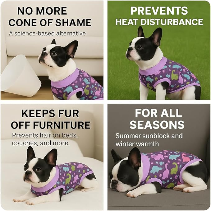 PetWarm Dog Surgical Suit Female Spay, Onesie for Dogs After Surgery, Substitute E-Collar and Cone, Pet Surgery Recovery Suit, Anti-Licking Dog Surgery Recovery Suit Soft, Dinosaur Pattern, Purple, M