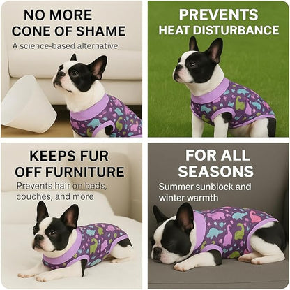 PetWarm Dog Surgical Suit Female Spay, Onesie for Dogs After Surgery, Substitute E-Collar and Cone, Pet Surgery Recovery Suit, Anti-Licking Dog Surgery Recovery Suit Soft, Dinosaur Pattern, Purple, M
