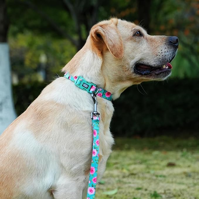 Dog Collar and Leash Set, Rose Pattern, Polyester Material, 5ft Matching Leash, for Small Puppy Dogs.(XS, Green Rose Set)