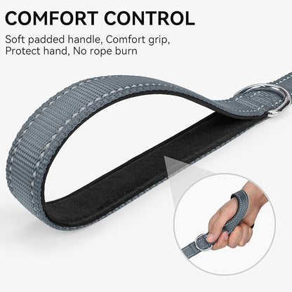 Joytale Dog Leash, 5 FT Double-Sided Reflective, Padded Handle Nylon Heavy Duty Leashes for Medium & Large Dogs Walking, Grey
