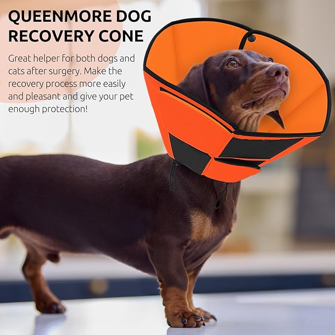 Queenmore Dog Cone Collar, Cone for Dogs to Stop Licking, Dog Cones for Medium Dogs, Adjustable Doggy Recovery Collars & Cones, Elizabethan Collar for Pets After Surgery, Orange M