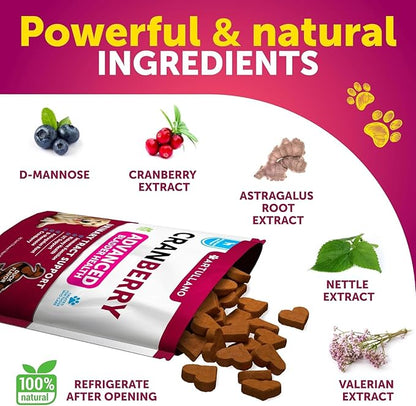 Dog UTI Treatment + Probiotic Chews Bundle - Cranberry Supplement for Bladder & Kidney Support - Probiotics & Prebiotics for Gut Health, Immunity, Yeast Balance, Reduces Diarrhea & Allergies