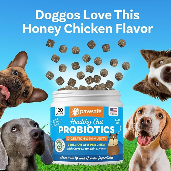 PawSafe® Dog Probiotics Soft Chews for Picky Eaters - USA Made, 120 Count - Digestive & Gut Health, Diarrhea, Gas Relief, Allergy & Itchy Skin Support - Natural with Pumpkin - Honey Chicken Flavor