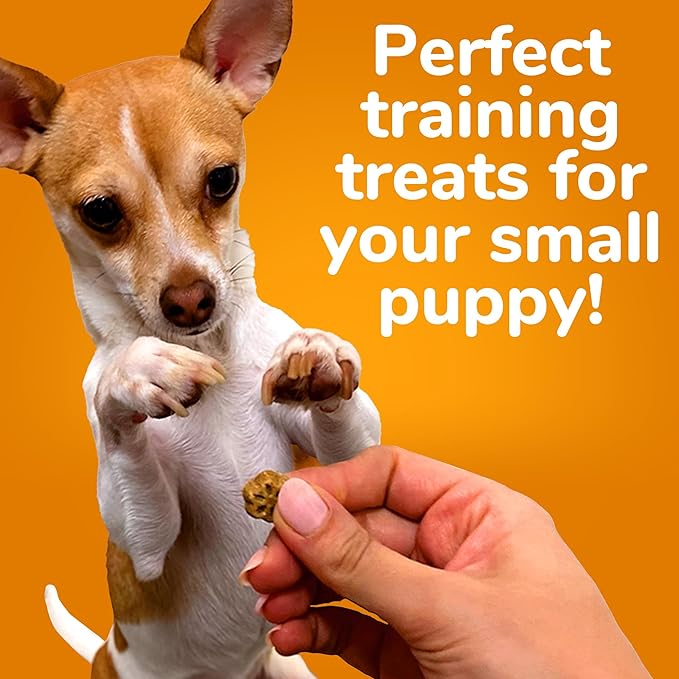 Fruitables Dog Treats, Apple Bacon Flavored | Low Calorie | Training Treats | Wheat-Free | 5oz Pack of 4