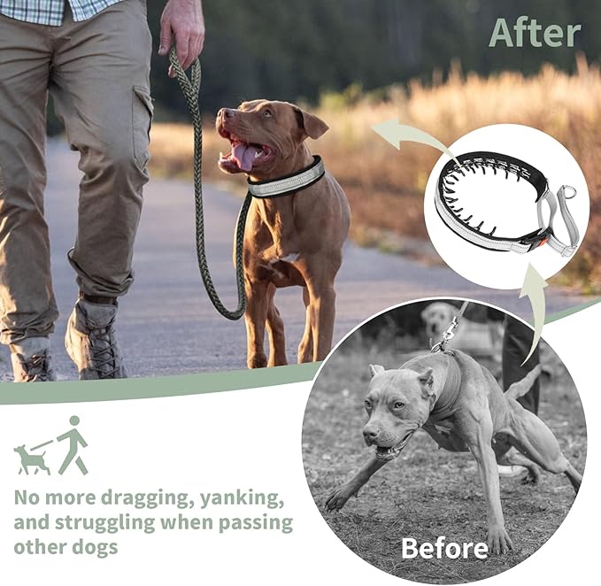Mayerzon Martingale No Pull Collar for Medium Large Dogs, Patented Anti Pull Dog Collar with Buckle for Walking Training, with Neoprene Padding and Reflective Stitching, Adjustable(Grey, M)