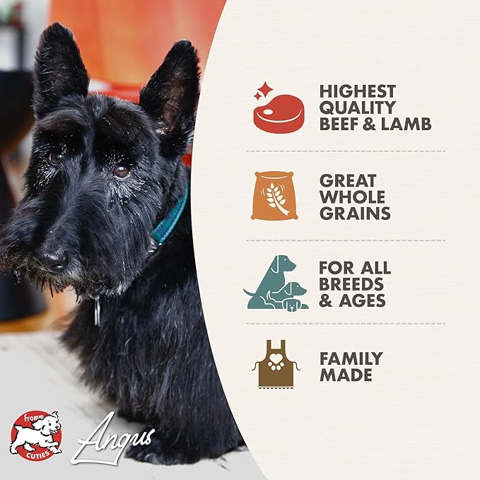 Fromm Four-Star Nutritionals Highlander Beef, Oats, & Barley Dog Food - Premium Dry Dog Food - Beef Recipe - 26 lb