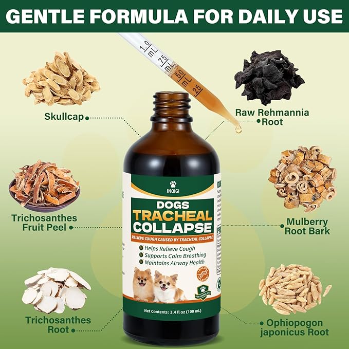 Dogs Tracheal Collapse Supplement, 4 FL OZ Trachea Cough Elixir, Dog Cough Relief for Dry Cough Goose Honk & Smooth Breathing, Natural Herbs Respiratory Support Drops - Bacon Flavor