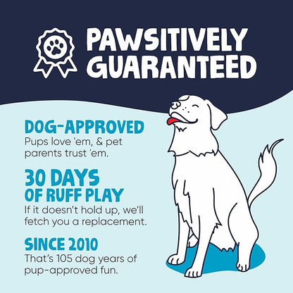 goDog Dragons Squeaky Plush Dog Toy with Chew Guard Technology, Durable Fabric & Squeaker for Active Play, Seafoam, Large