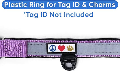 Pawtitas Lumberjack Padded Martingale Collar for Dogs | Soft Neoprene Dog Collar for Your pet's Comfort Made with Reflective Band for Maximum Visibility | Fits Small and Large Pets - Large Orchid