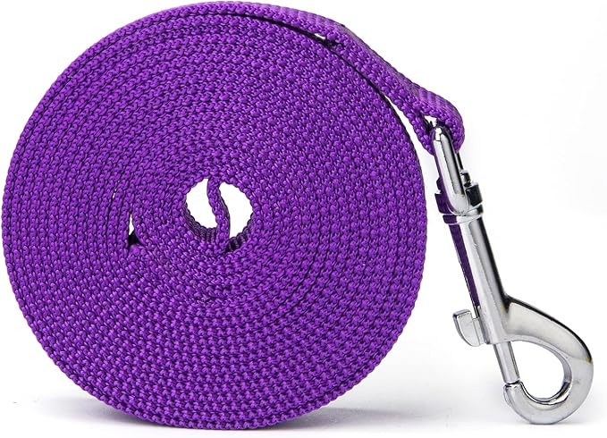 Strong Durable Nylon 10ft Long Dog Training Leash, Traction Rope, 1 Inch Wide, for Small and Medium Dog (Purple, 10 Feet)