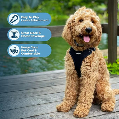 Best Pet Supplies Voyager Adjustable Step-in Flex Breathable Mesh Dog Harness for Small Medium Large Dogs (Black), XS
