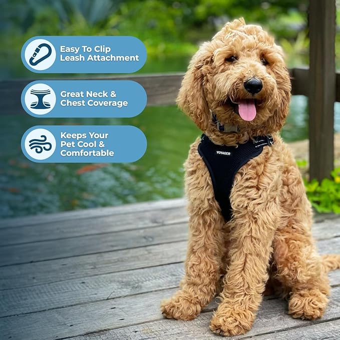 Best Pet Supplies Voyager Adjustable Step-in Flex Breathable Mesh Dog Harness for Small Medium Large Dogs (Black), S
