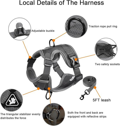 SOLMOONY Small Dog Harness,Soft Mesh Puppy Harness and Leash Set,No Escape Cat Harnesses for Training Walking,Reflective Adjustable Puppy Vest for Small Medium Dogs, Cats (Grey, M)