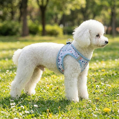 Mihqy Step in Dog Harness and Leash Set, Reflective Adjustable No Pull Dog Harness for Small Medium Dogs Puppy and Cats, Soft Padded Mesh Vest Harnesses for Girl and Boy Pets(Cute Insect,M)