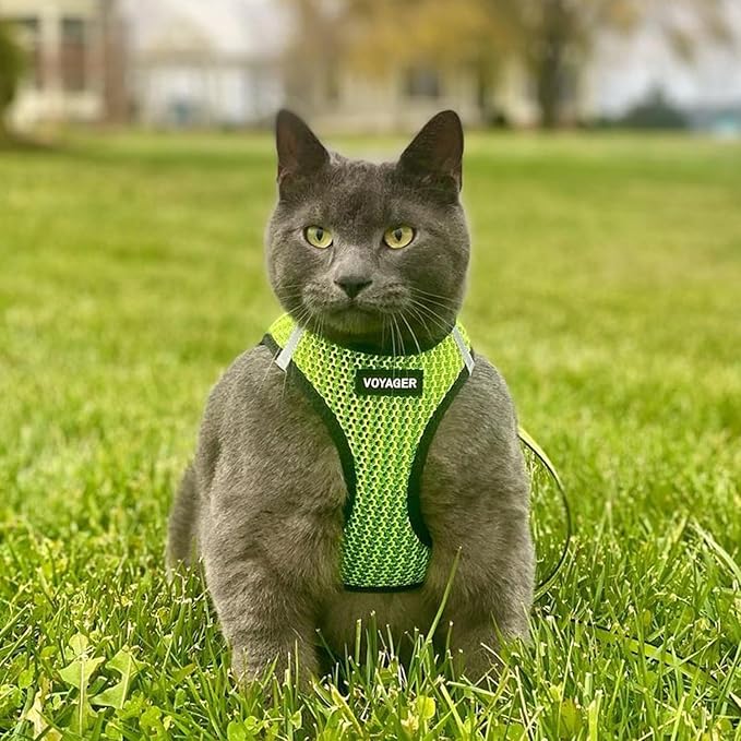 Voyager Step-in Air Dog Harness - All Weather Mesh, Reflective, No Pull Harness for Small, Medium Dogs, Cats - Secure with Hook & Loop Fastener, Buckle, Double D-Rings - Lime Green 2-Tone, XS