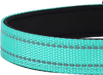Reflective Dog Collar, Adjustable Soft Neoprene Padded Nylon Pet Collars with Buckle for Small Dogs, Teal,S