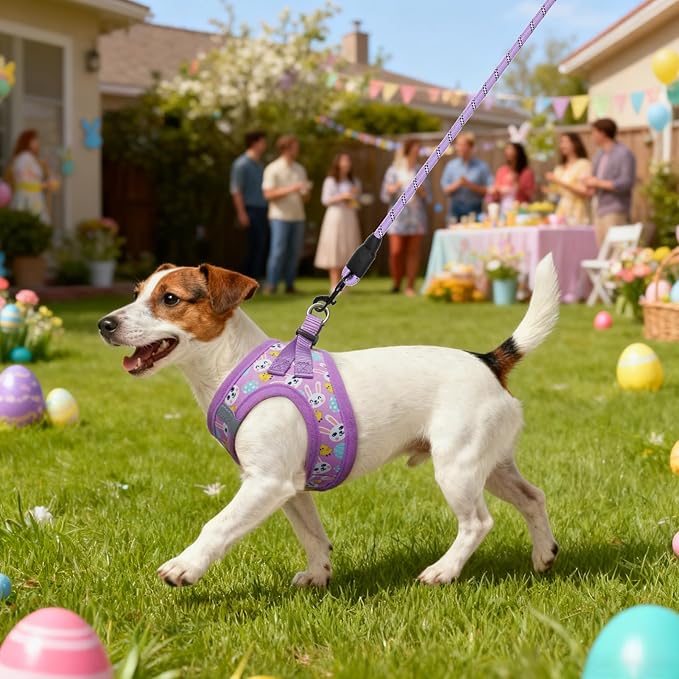 BEAUTYZOO Easter Dog Harness and Leash Set,Step in No Choke No Pull Soft Mesh Dog Harnesses Reflective for XSmall/Small Puppy Dogs Cats, Cute Coloful Egg Dog Vest for Outdoor Walking,Purple XS