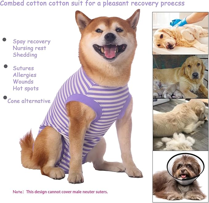 Dog Surgery Recovery Suit Dogs Neuter Spay Female Male Protective Clothes,XXL Purple-White Striped
