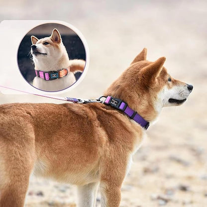 Roses&Poetry Puppy Dog Collar and Leash Set, Reflective Dog Leash for Small Dogs, Cute Matching Collars and Leashes Padded Adjustable Durable for Girl or Boy Dogs（Mistyrose-XS
