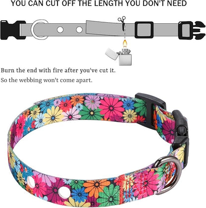 Rhea Rose 3/4 Inch Replacement Collar Strap Shock Collar with 2 Holes, Compatible with Nearly All Brands and Models of Underground Electric Dog Fences and Training Collars, Floral Pattern