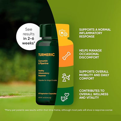 Rooted Owl Turmeric - Turmeric Supplement for Dogs and Cats - with Curcumin, Piperine and Vitamin C for Anti-Inflammatory Relief - 60/ct