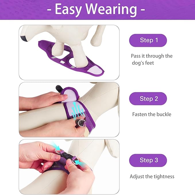 Dog Harness for Small Dogs and Leash Set, Honeycomb Grid, Reflective Lightweight Harness & Anti-Twist Pet Lead (Multi Color, Size: XS-S-M) (S, Purple)