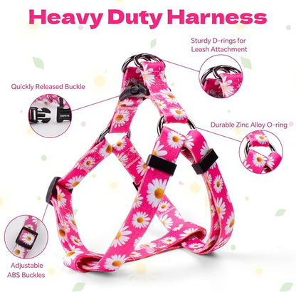 QQPETS Dog Harness Leash Set Adjustable Heavy Duty No Pull Halter Harnesses for Small Medium Large Breed Dogs Back Clip Anti-Twist Perfect for Walking (XS(12"-18" Chest Girth), Daisy)