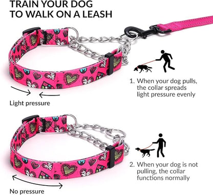 Martingale Dog Collar and Leash Set, Stainless Steel Chain, No Pull Training Collar with Flower Design, for Small, Medium, Large Dogs (NO20, L)