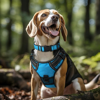 Joytale Reflective Dog Collar, Soft Neoprene Padded, Metal D-Ring, Nylon Pet Collar Adjustable for Large Dogs, Sky Blue, L
