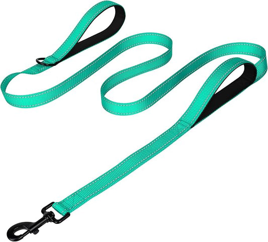 Joytale Dog Leash Heavy Duty for Large Dogs that Pull, Double Handle for Traffic Control, Double-Sided Reflective Leashes for Large Medium Dogs Night Safety, 6FT, Teal