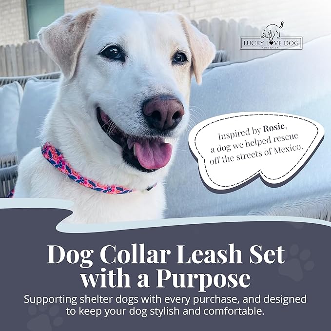 Lucky Love Dog Martingale Dog Collar & Leash - Adjustable, No-Slip, Durable, Comfortable, Soft Webbing, & Stylish Patterned Collar & Leash Set for Male and Female Dogs - Rosie Combo, Small
