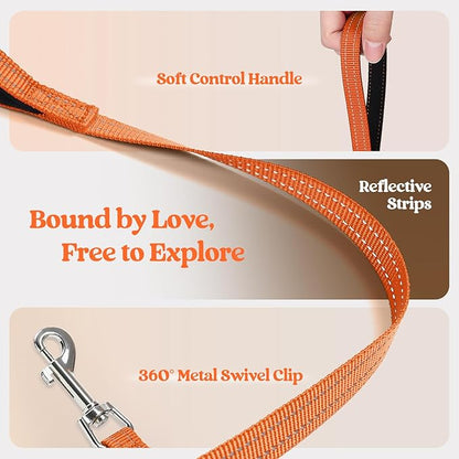 rabbitgoo Dog Harness Small Sized and Leash Set, Step in Soft Light Puppy Vest, Breathable Mesh Pet Harness, Reflective for Safe Easy Walking, Orange S