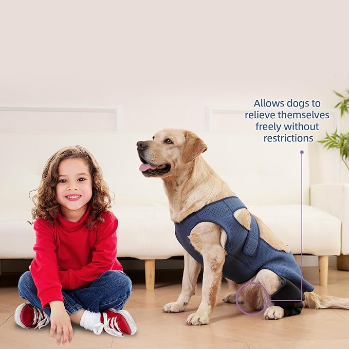 Dog Recovery Sleeve, Dog Recovery Suit, Abrasion Resistant Sleeve Front Leg, Washable 3mm Thick and Breathable, Pet Wounds Prevent Licking, Bite, Being Wet (XLarge, Rear Both Leg)