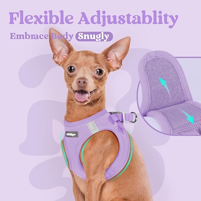rabbitgoo Small Dog Harness, Step-in Soft Mesh Puppy Vest with Safety Buckle, Breathable Reflective Pet Harness for Small Sized Dogs, Light Purple XS