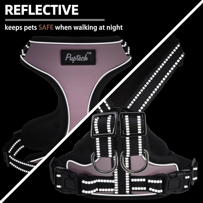 PUPTECK Dog Harness and Leash Set Small Sized, Adjustable Reflective Escape Proof Puppy Vest, No Pull Walking Harness Easy Control