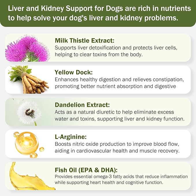 Milk Thistle & SAM-E for Dogs, Advanced Liver & Kidney Support with Silymarin, Detox Supplement for Dogs- 120 Chewable Tablets