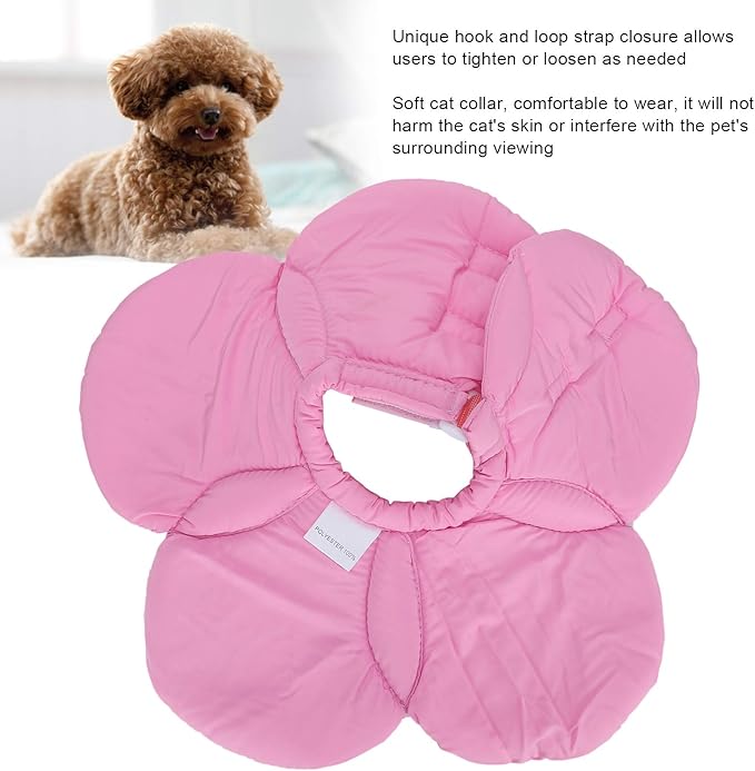Dog Cone Collar, Wound Healing Protective Cone Surgery Recovery Collars Dog Donut Collar After Surgery Elizabethan Collar for Dogs Adjustable Soft Neck Cone for Small Pet (M)