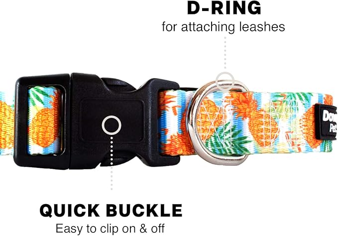 Downtown Pet Supply - Martingale Collar for Dogs - Dog Training Collar - Big, Wide & Thick Dog Collar - Escape-Proof, Weatherproof, Durable and Comfortable - Pineapple - Small Dog Collar