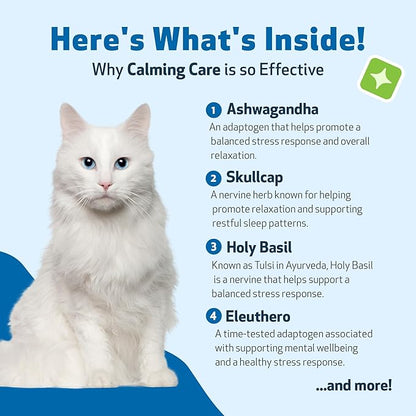 Pet Wellbeing Calming Care for Cats - Vet-Formulated Behavioral Support - Feline Stress Support, Emotional Wellness - Ashwagandha & Holy Basil Adaptogen - Holistic Cat Supplement 2 oz (59ml)