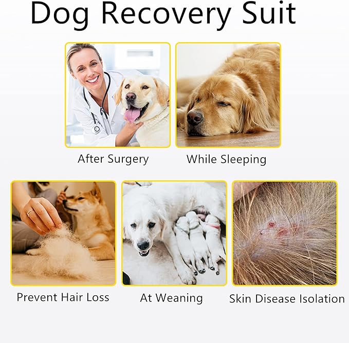 Recovery Suit for Dogs Dog Onesie for Surgery, Dog Surgery Recovery Suit for Small Medium Dogs, E-Collar Alternative After Surgery Wear Anti Licking Abdominal Wounds Pet Surgery Recovery Suit