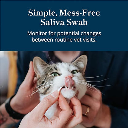 Petivity At-Home Kidney Health Test Kit for Cats — Quick Saliva Urea Test (2-Minute Home Check), Powered by Purina — Help Detect Early Kidney Changes - (Pack of 1)