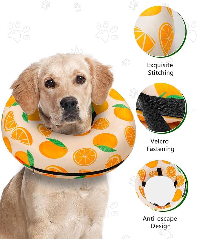 MIDOG Soft Inflatable Dog Cone, Donut E-Collar Alternative for After Surgery, Prevents Licking, Allowing Normal Eating & Vision, Comfortable Recovery Collar for Small Medium Large Dogs&Cats, Orange-XS