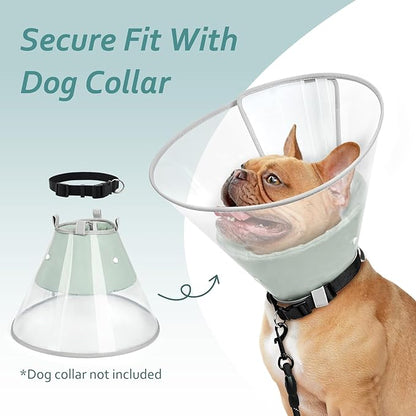 Dog Cone Collar with Snap-on Detachable Soft Liner, Lightweight Transparent Elizabethan Alternative to Stop Licking, for Spay Neuter Surgery Recovery, for Medium Large Small Dogs (Green,M)
