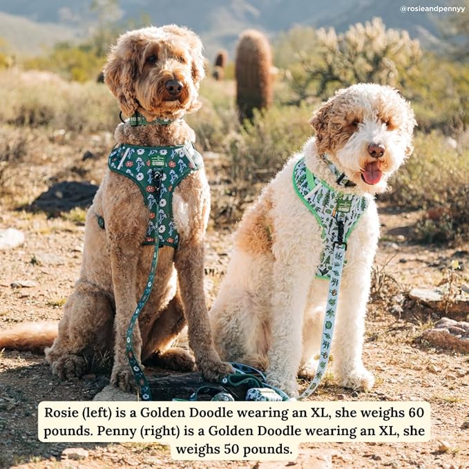Lucy & Co. x Parks Project Feel the Earth Breath Dog Leash, Durable Matching Dog Lead with Heavy Duty Hardware, Large