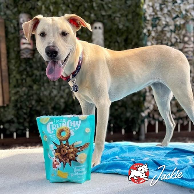 Fromm Crunchy Os Slammon' Smoked Salmon Dog Treats - Premium Crunchy Dog Treats - Salmon Recipe - 26 oz