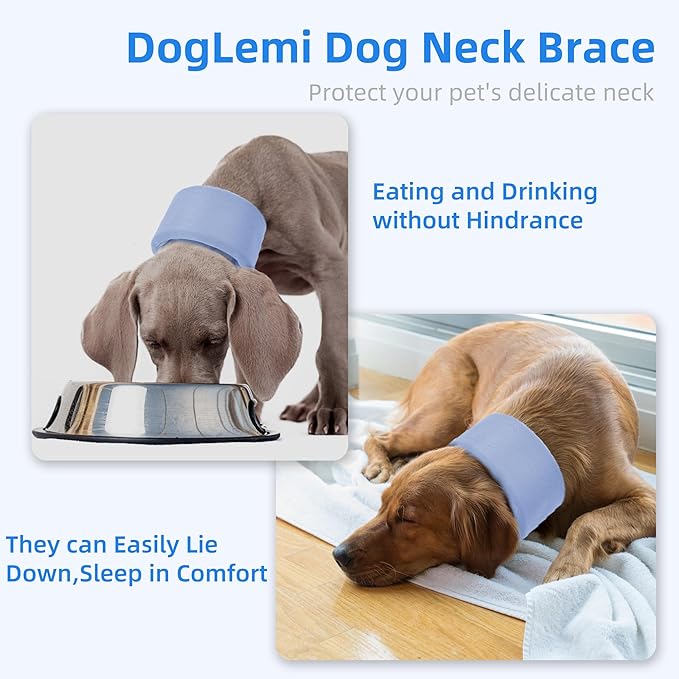 Dog Neck Brace for Pet After Surgery Recovery Adjustable Breathable Neck Cervical Cone，Dog Cone Collar Recovery Head Cone for Small Medium Dogs Puppies Kittens with Spinal IVDD Lssues