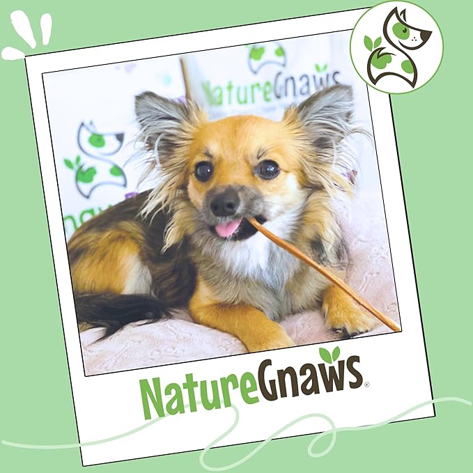 Nature Gnaws Super Skinny Bully Sticks for Small Dogs 5-6" (40 Count) - Long Lasting for Light Chewers and Puppies - Extra Thin Natural Beef Dog Chew Treats