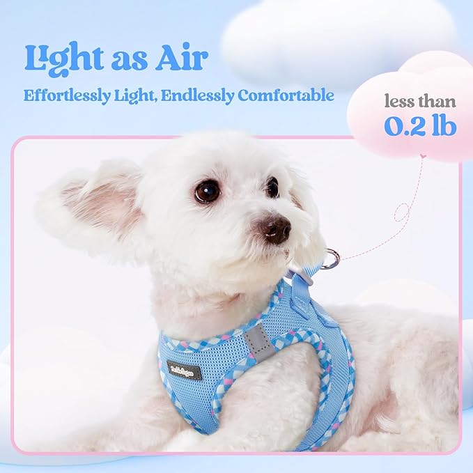 rabbitgoo Dog Harness Small Sized and Leash Set, Step in Soft Light Puppy Vest, Breathable Mesh Pet Harness, Reflective for Safe Easy Walking, Blue & Plaid Trim XS