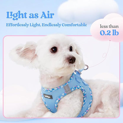 rabbitgoo Dog Harness Small Sized and Leash Set, Step in Soft Light Puppy Vest, Breathable Mesh Pet Harness, Reflective for Safe Easy Walking, Blue & Plaid Trim XXS