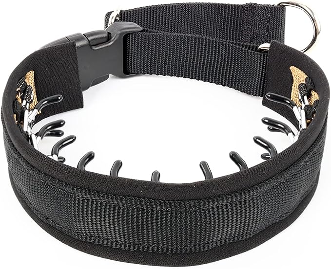 Mayerzon Dog Collar, Patented Martingale No Pull Collar for Small Medium Large Dogs with Buckle for Walking Training, Hidden Design (Black, Small,2.5mm,11.5"-14.5" Neck)